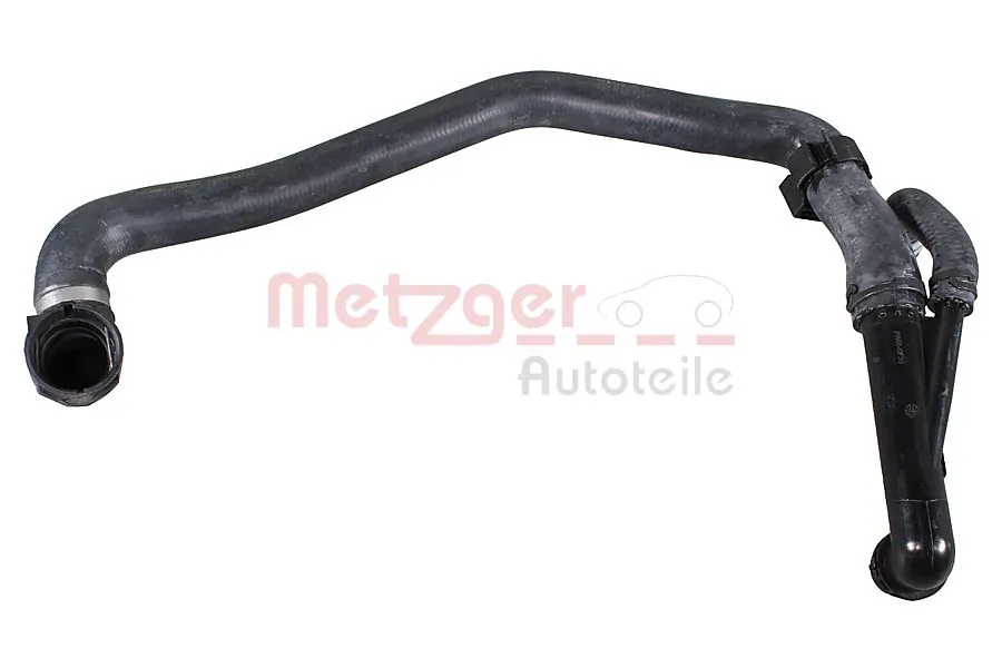 2421747 Metzger