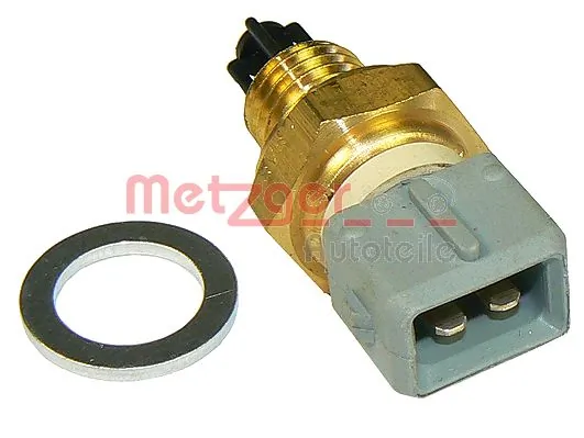 0905063 Metzger