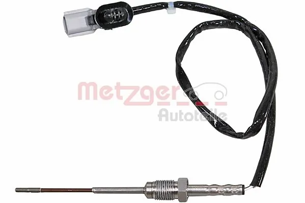 0894729 Metzger