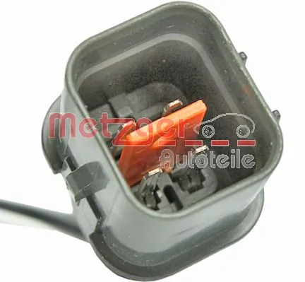0893479 Metzger