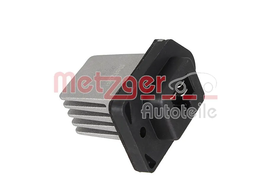 0917788 Metzger