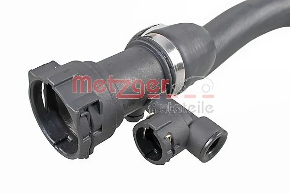 2420905 Metzger