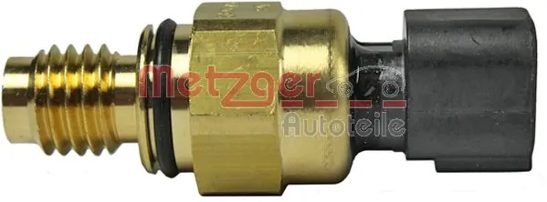 0910088 Metzger