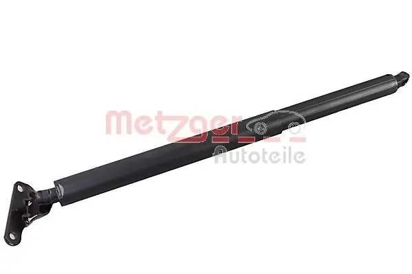 2110693 Metzger