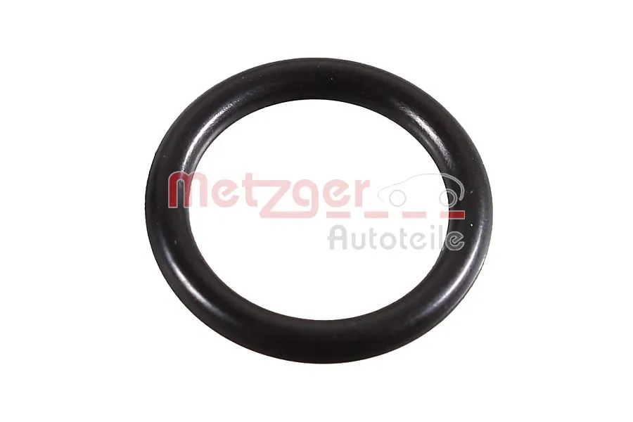 2430105 Metzger