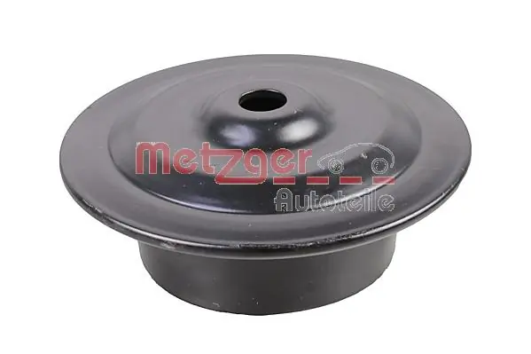 6490299 Metzger