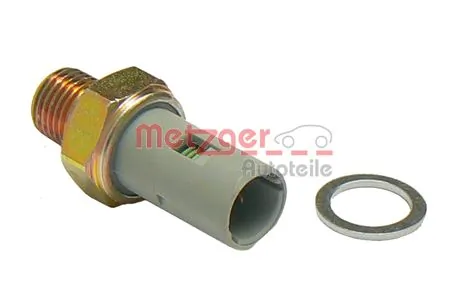 0910031 Metzger
