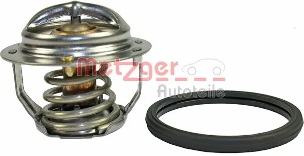 4006119 Metzger
