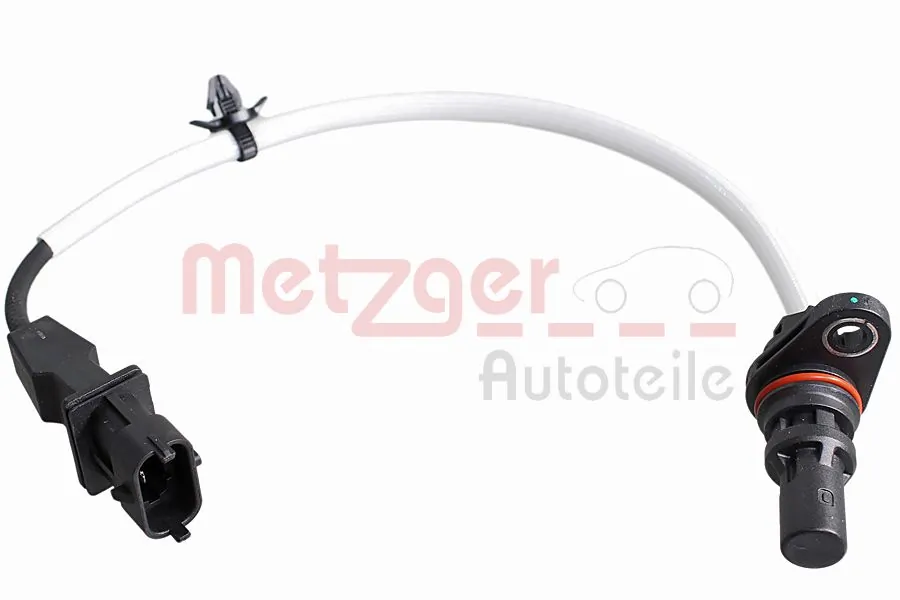 0902465 Metzger