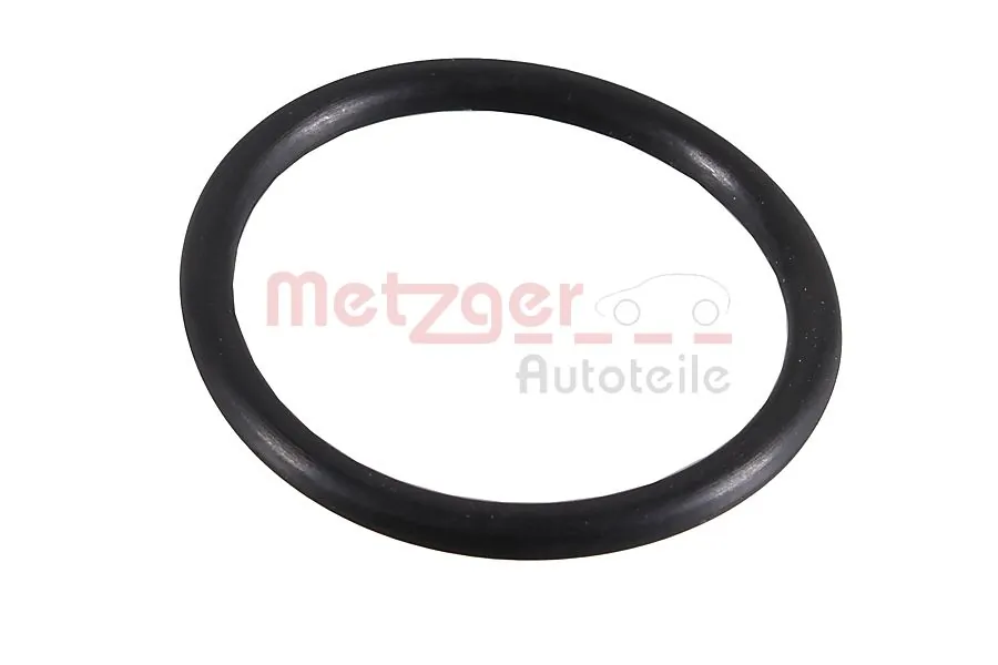 2430032 Metzger