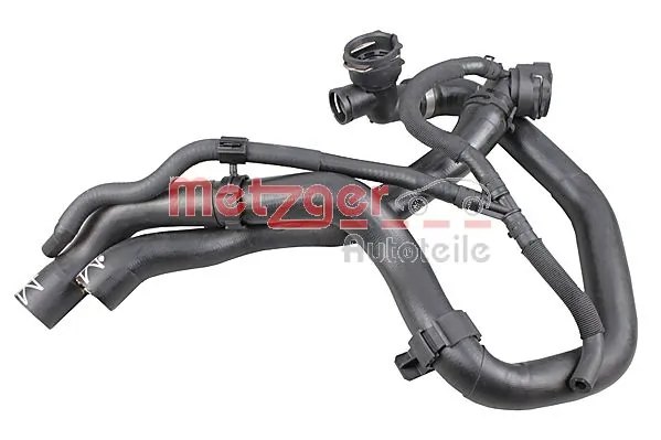 2421294 Metzger