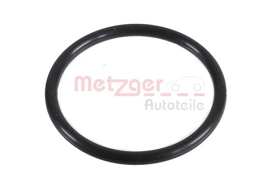 2430047 Metzger