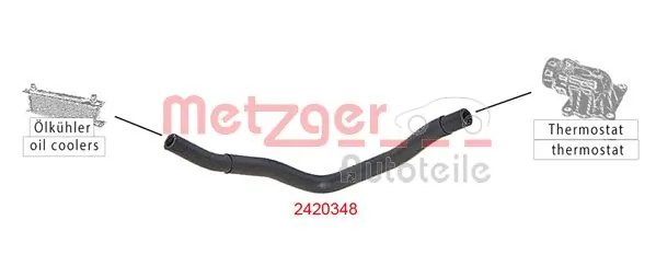 2420348 Metzger