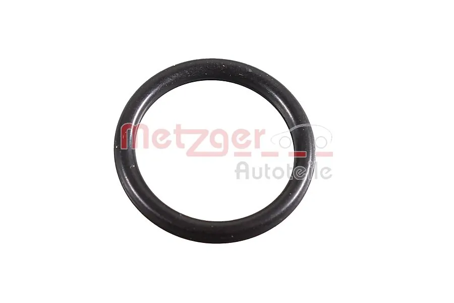 2430125 Metzger