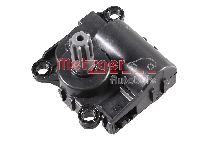 0917479 Metzger