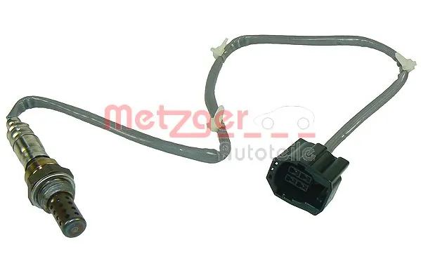 0893109 Metzger