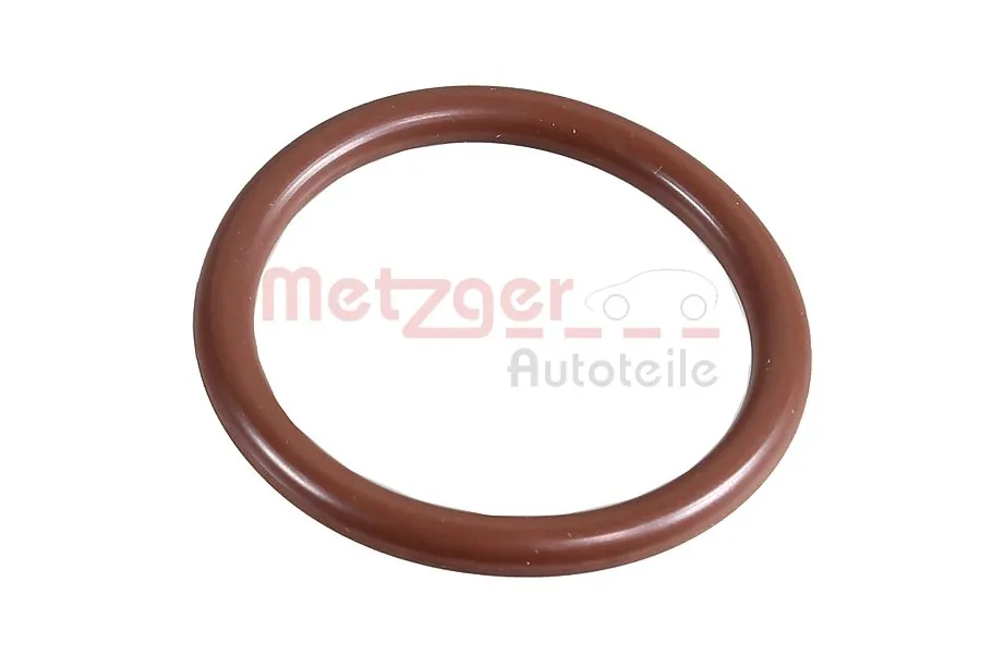 2430078 Metzger