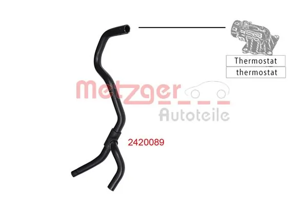 2420089 Metzger