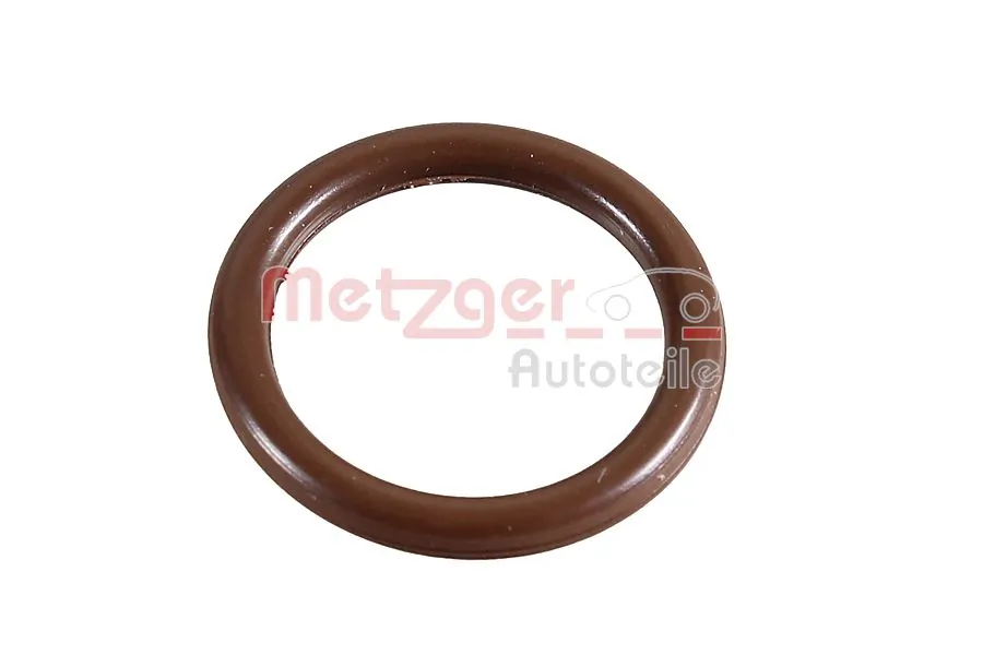 2430091 Metzger