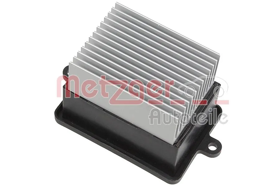 0917698 Metzger