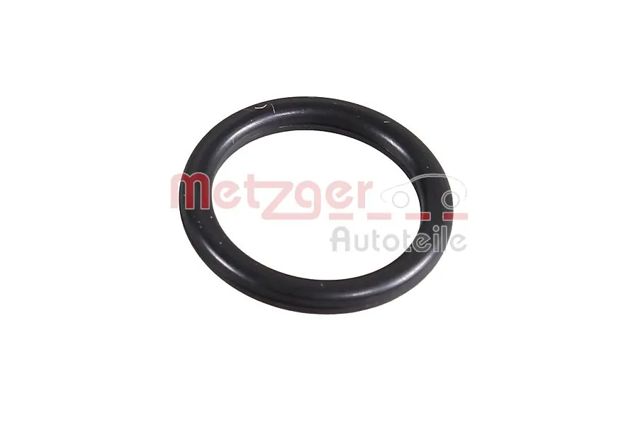 2430094 Metzger