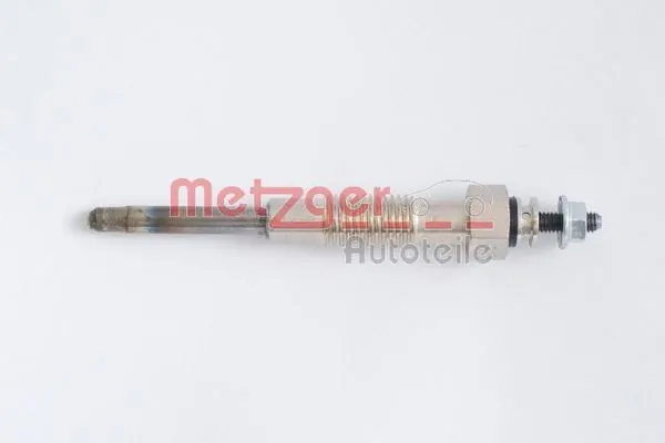H1667 Metzger