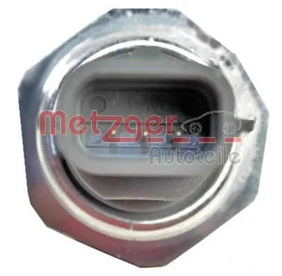 0917311 Metzger