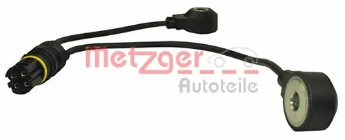 0907097 Metzger