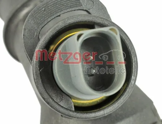 4010123 Metzger