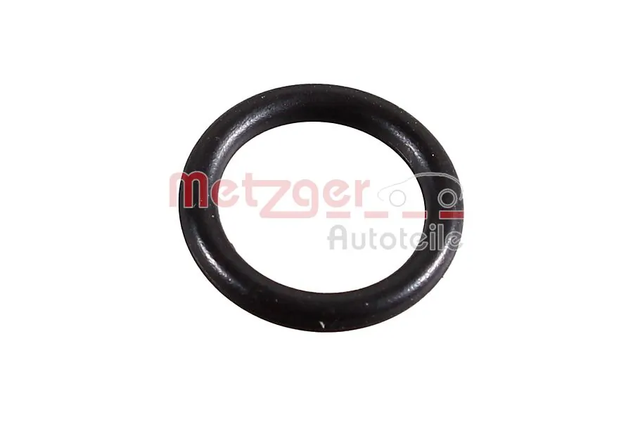 2430046 Metzger