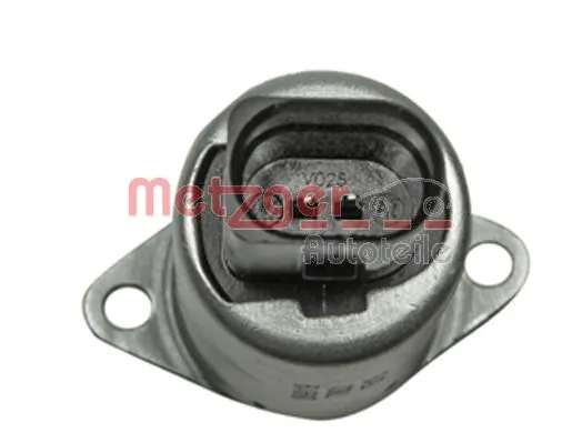 0899119 Metzger