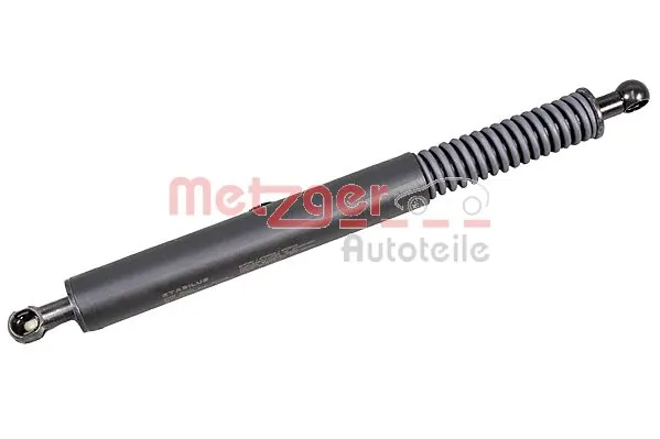 2110695 Metzger