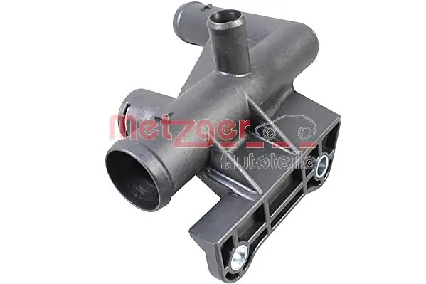 4010313 Metzger
