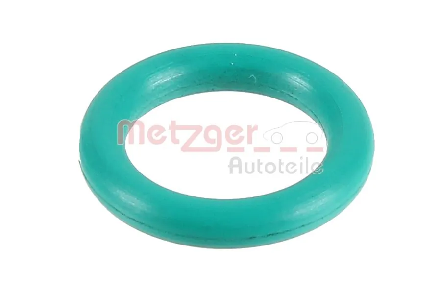 2430017 Metzger