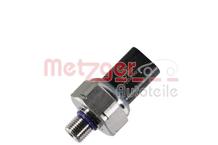 0906481 Metzger