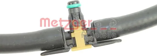 0840098 Metzger