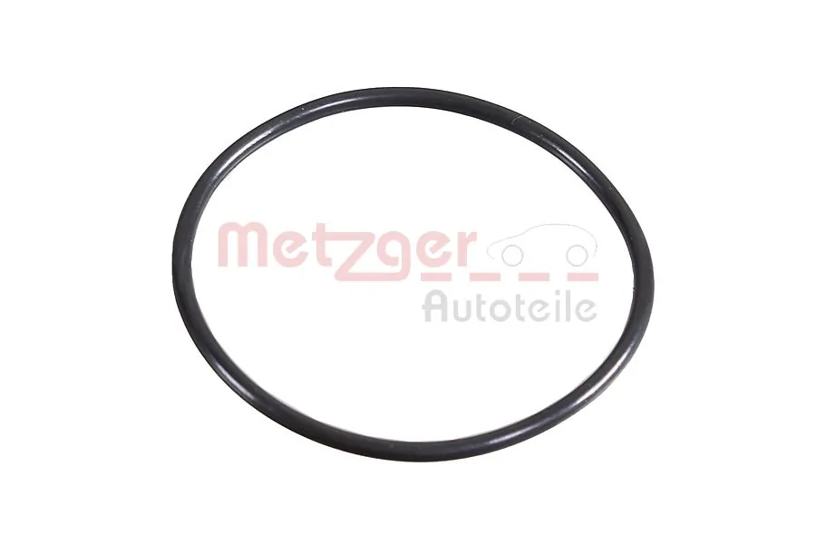 2430058 Metzger