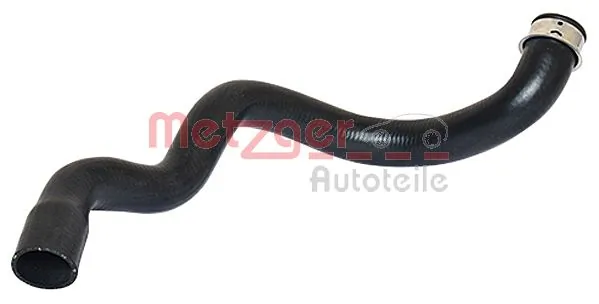 2420126 Metzger