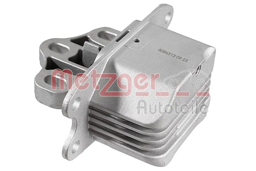 8054313 Metzger