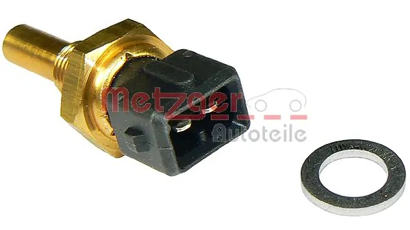 0905118 Metzger