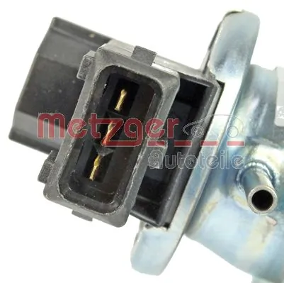 EGR Kale 348995