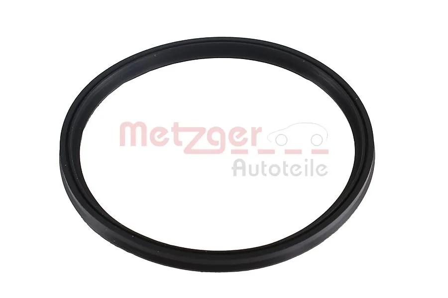 2430049 Metzger