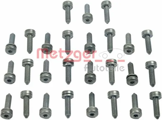 8029028 Metzger