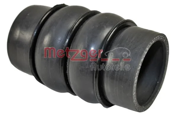 2400396 Metzger