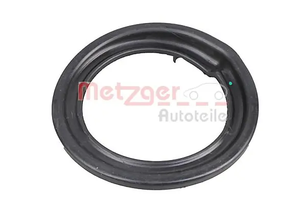 6490316 Metzger