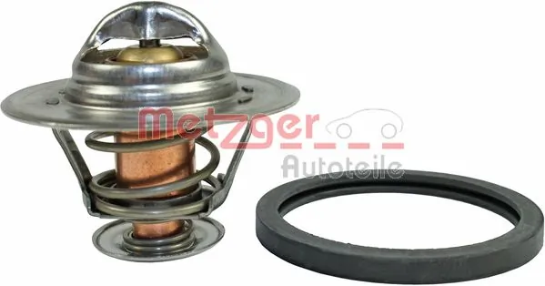 4006031 Metzger