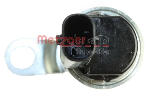 0899107 Metzger
