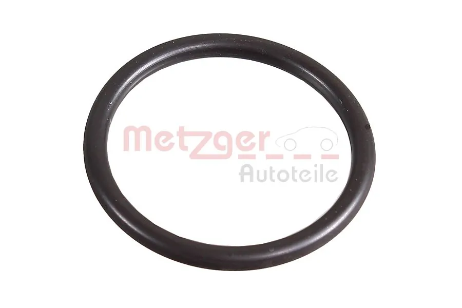 2430034 Metzger