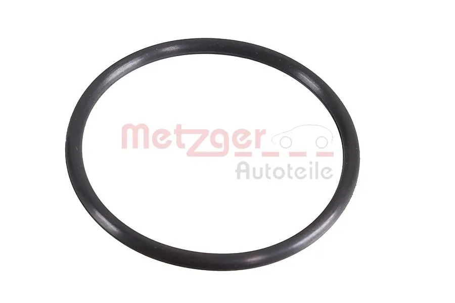 2430134 Metzger
