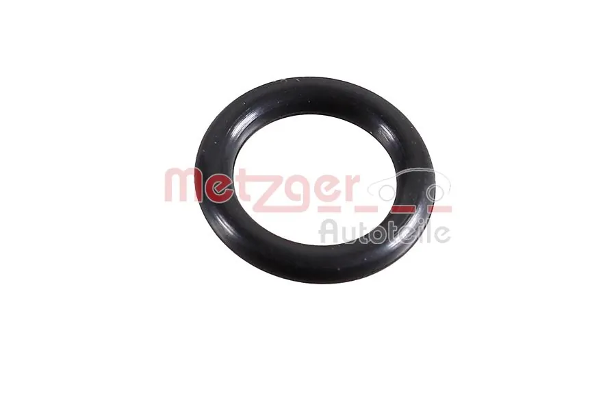 2430096 Metzger